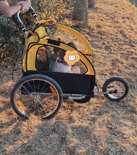 Carrello porta bimbo - , bici